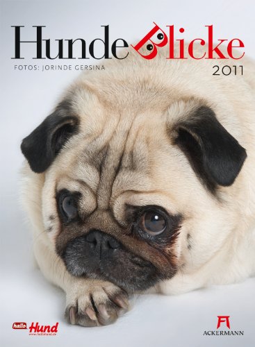 Hundeblicke 2011
