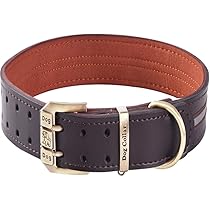 Collare Per Cani In Pelle Imbottita Fatto A Mano: Collare American Bully XL - Italia - Foto 5