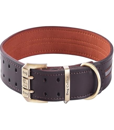 Collare Per Cani Arancione / Collare Per Cani Con Corda / Collare Per