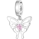 PANPOKI Dijes Abalorios Animales Plata 925 Circonita para Pulsera y Collar | Plata 925 aut&eacute;ntica, dise&ntilde;os animales variados p