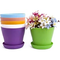 Vasi per piante da interno: guida alla scelta del miglior vaso
