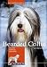 Produktbild Bearded Collie: Charakter, Erziehung, Gesundheit (Cadmos Hunderassen)