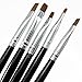 Neverland 5pcs Acrylic UV Gel Nail Art Painting Design Pen Polish Builder Brushes set