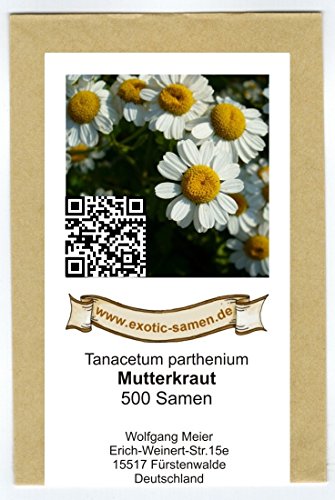 Mutterkraut – Tanacetum parthenium – Falsche Kamille – Fieberkraut – Arznei- + Zierpflanze – 500 Samen - 2
