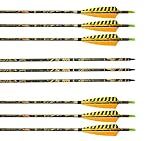 Pfeile Carbon Kohlenstoff Bogenpfeile Archery sharly, 31...