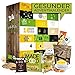 Produktbild Bio GESUNDER Advent-Kalender I Healthy Weihnachtskalender mit 24 Überraschungen ohne Reue! Ausgefallener Adventskalender für Sportler oder jedem der gesund lebt