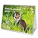 Produktbild Katzenzauber DIN A5 Tischkalender 2020 Katzen und Katzenbabys - Seelenzauber
