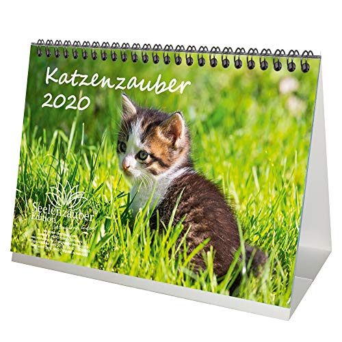Preisvergleich Produktbild Katzenzauber DIN A5 Tischkalender 2020 Katzen und Katzenbabys - Seelenzauber