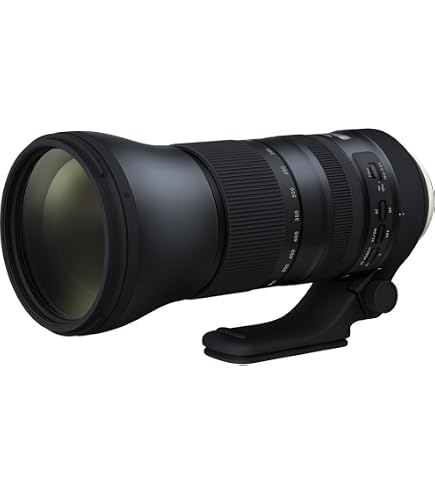Tamron SP 150-600 MM F/5-6,3 Di VC USD - Objetivo para Nikon