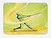 Produktbild Baseball Bath Mat, Baseball Player Hits Ball Batter Athlete Pitcher League Team Artsy Illustration, Plush Bathroom Decor Mat with Non Slip Backing, 23.6 x 15.7 Inches, Green Yellow