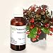 Pure Gaultheria Essential Oil - 100% Pure, Natural & Undiluted - 30 ML RS.246.00
