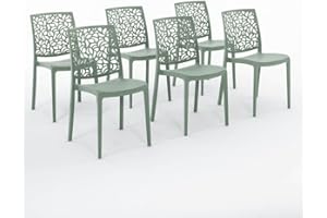 SIEDITI FUORI E DENTRO Chaises en résine avec Fibre de Verre empilables pour intérieur/Cuisine/Salle à Manger et extérieur/Jardin Anna (6 Chaises, Vert Sauge)