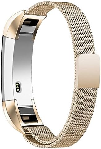 Fitbit Alta Strap,Teorder Milanese Loop Metal Magnetic Clasp Adjustable Stainless Steel Replacement Wrist Bands/Fitness Bracelet Accessories Straps for Fitbit Alta/Fitbit Alta HR,Apple Gold