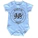 Fonfella Baby MADE IN WALES DESIGN Babygrow (0-3 Months SHORT SLEEVE - Blue)