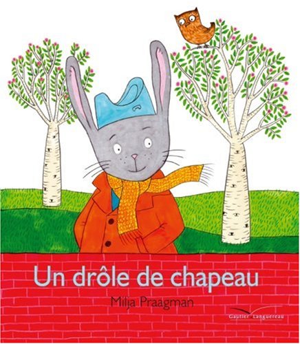 couverture de : Un dr&ocirc;le de chapeau