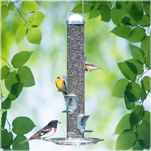 Perky-Pet Vogelfuttersäule Luxus-Vogelfuttersilo mit Schale - 2