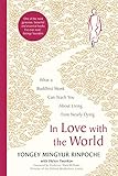 In Love with the World: What a Buddhist Monk Can Teach You About Living from Nearly Dying (English Edition) by 