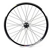 Wilkinson Rear Wheel 32 Hole Double Wall MTB Rim, Disc/V-Brake, Quick Release 8/9 Speed Disc Hub, Black Spokes - 26 x 1.75 Inches, Black