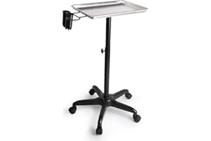 Begoniape Salone di bellezza, carrello a rotelle in argento, vassoio in ferro, salone da ufficio, carrello cosmetico con rotelle, cosmetici multiuso per saloni di bellezza, parrucchieri