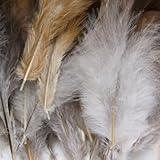 SODIAL(R) Natuerlich Dekoration Hahn Hahn Feder-Idee fuer Kostueme, Huete, Zuhause,Dekor,usw. - 