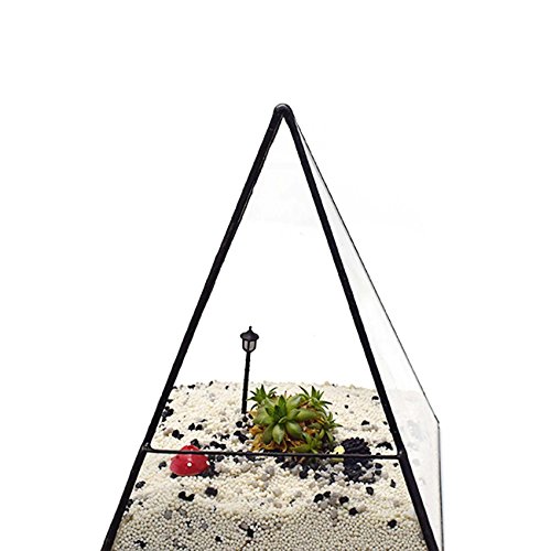 Ultra 14x14x18.5cm Premium Qualität Glas Terrarium Dreieck mit einem Cut-off Rand ideal für Moos und Pflanzen oder Dekorationen (14 x 14 x 18.) - 2