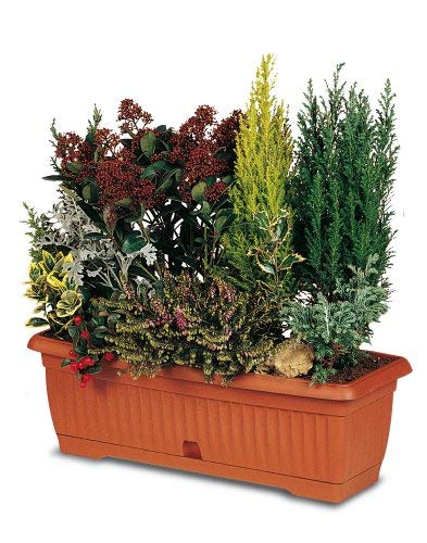 Arca macetas Lily grande 530