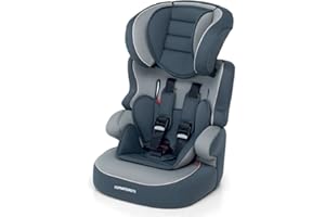 Foppapedretti Babyroad Siège D'Auto Groupe 1-2-3 (9-36 Kg) pour Les Enfants D'environ 9 Mois à 12 Ans, Gris