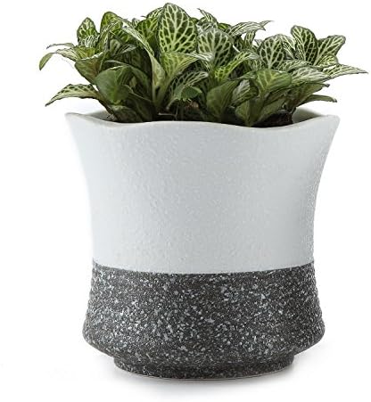 T4U 9.5CM Ceramic Korae Style Snow Serial No.5 Succulent Plant Pot Cactus Plant Pot Flower Pot Container Planter