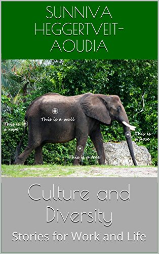 Culture and Diversity: Stories for Work and Life (English Edition) Culture and Diversity: Stories for Work and Life (English Edition)