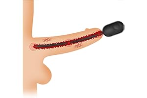 ZJZFL Forte Puissance, Plusieurs Vitesses Étanche et Facile à Ranger