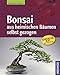 Bonsai aus heimischen B&auml;umen selbst gezogen