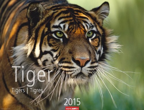 Tiger 2015