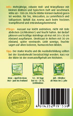 Pfefferminze - 2