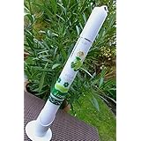 Kommunionkerze - Kommunionskerze - Kerze zur Kommunion - Taufkerze 