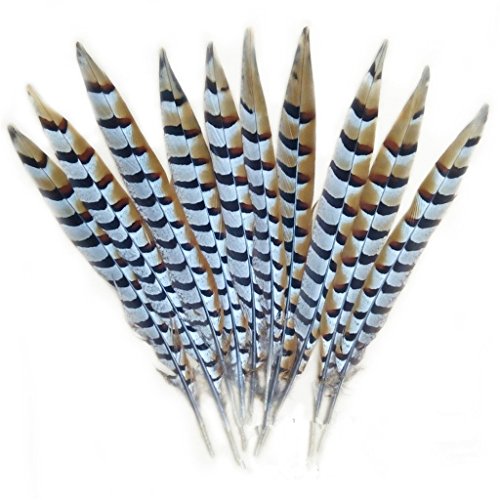 Preisvergleich Produktbild ERGEOB Hähnchen Schwanz Federn 30-35cm 10 stuck