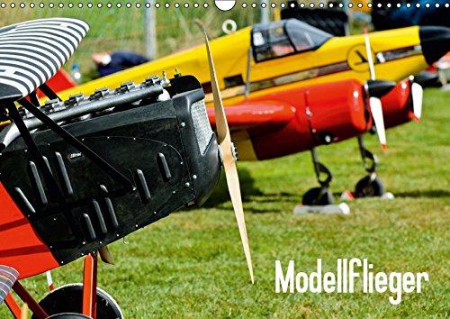 Modellflieger (Wandkalender 2019 DIN A3 quer): Faszinierende Flugzeugmodelle im Flug fotografiert. (Monatskalender, 14 Seiten ) (CALVENDO Hobbys)