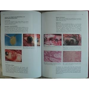 A biological approach to implantology