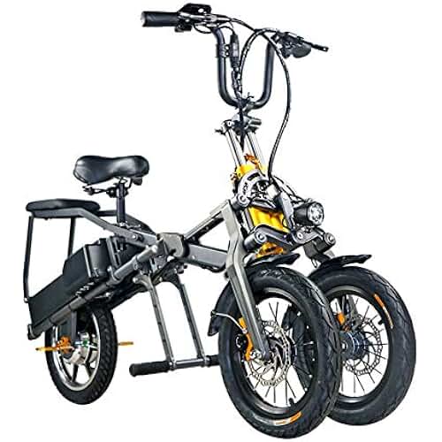 Amazon.fr Tricycle électrique