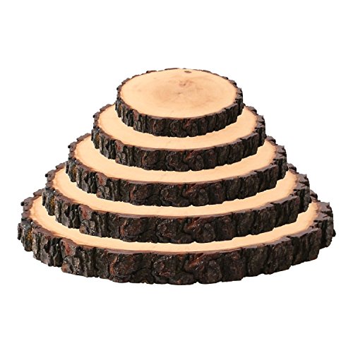 Rundes Rindenbrett lackiert, Holzbrett, Baumscheibe, Servierbrett, Wurstbrett, Käsebrett, verschiedene Größen, Brettgröße:ca. 18 – 20 cm Durchmesser - 4