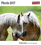 Pferde - Kalender 2017: Kalender mit 53 Postkarten by 