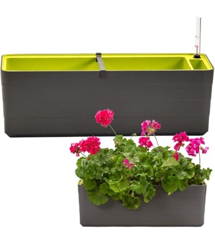 Berberis Blumenkasten Pflanzkasten mit Bewsserungssystem Selbstbewsserung  60cm und 80cm (Grn und wei, 60.00): Amazon.de: Garten