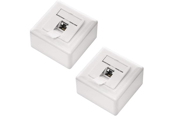 deleyCON 2x CAT6 Universel Prise Réseau - 1x Port RJ45 - Blindé - Surface ou Affleurant - 1 Gigabit Ethernet Réseau - EIA/TIA 568B - Blanc