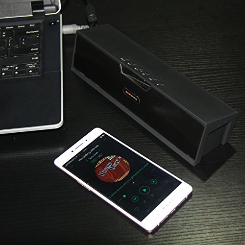 Sardine SDY019 Altavoz Est  reo Inal  mbrico Port  til al Aire Libre Soporte a FM Radio USB TF   MicroSD USB Negro