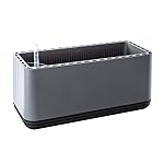 AIRY Box - Natürlicher Luftreiniger für Allergiker - Patentierter Pflanztopf als Filter gegen Schadstoffe, Haus-Staub...