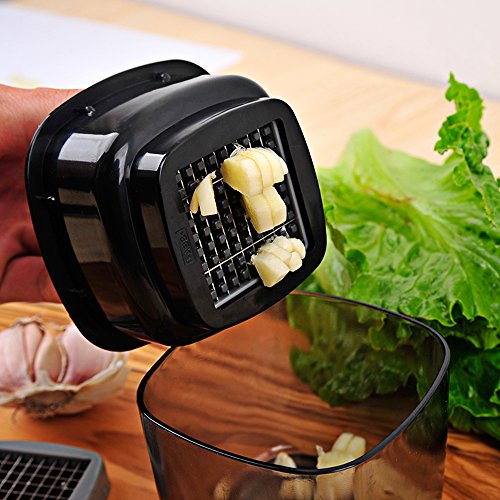 Knoblauchpressen Knoblauch Hobel, FineGood Zerkleinerer mit Edelstahl Klinge für Ingwer Knoblauch Scallion Zwiebel Chili Gewürz, Küche Gadgets Werkzeuge Zubehör - 2