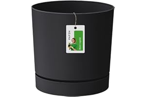 Prosperplast Cubierta del Sello Fleuri - 23.2 x Ø 24 cm - Maceta con Tubo de platillo Redondo P 8L, Antracita, DPOP240