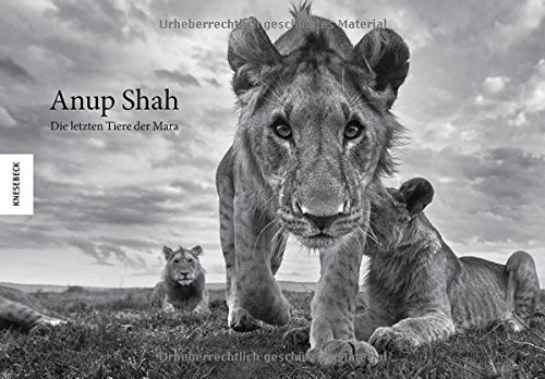 Download Anup Shah - Die letzten Tiere der Mara Download Anup Shah - Die letzten Tiere der Mara