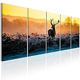 DEKORATION: Der Hingucker in Ihrer Wohnung! Wohnzimmer, Schlafzimmer, Küche und Kinderzimmer- unsere schönen und edlen Bilder schaffen gemütliche Stimmung für alle Hausbewohner und Gäste