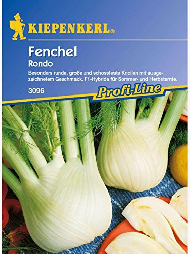Fenchel Knollenfenchel Rondo