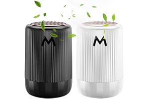 FENGQ Molekulares Mikrowellen-Enteisungsinstrument,Fahrzeug-Mikrowellenentfroster-Instrument für Fahrzeuge,Vehicle Microwave Molecular Deicing Instrument,Leistungsstarker Mikrowellen-Enteiser für Auto